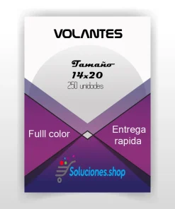 Volantes ful color 14CM X 21 CM